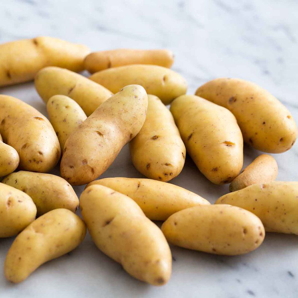fingerlings
